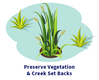 Illustration vegetation. Caption: Preserve Vegetation & Creek Set Backs 