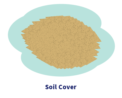 Illustration of soil. Caption: Soil Cover