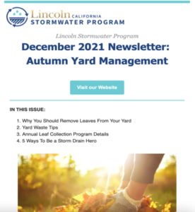 December 2021 Newsletter: Autumn Yard Management