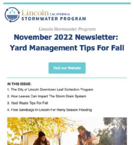 November 2022 Newsletter: Yard Management Tips For Fall