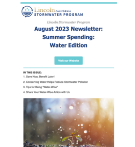 August 2023 Newsletter: Summer Spending: Water Edition