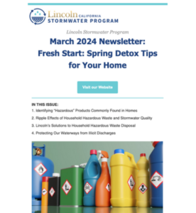 March 2024 Newsletter - Fresh Start: Spring Detox Tips for Your Home