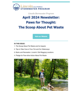 April 2024 Newsletter: Paws for Thought: The Scoop About Pet Waste