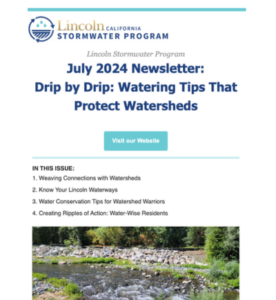 July 2024 Newsletter: Drip by Drip: Watering Tips That Protect Watersheds