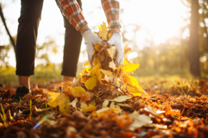 Person picking up leaves during fall