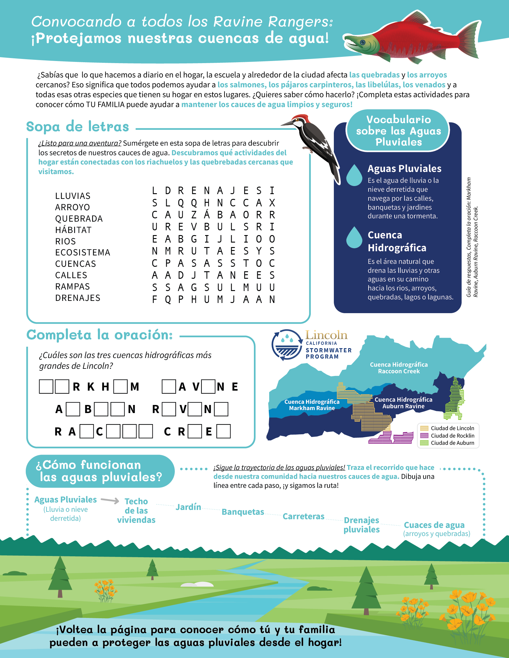 Lincoln Stormwater School Activity Sheet in Spanish