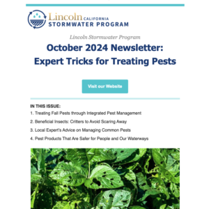 October 2024 Newsletter: Expert Tricks for Treating Pests