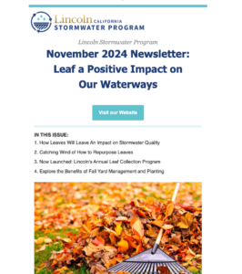 November 2024 Newsletter: Leaf a Positive Impact on Our Waterways