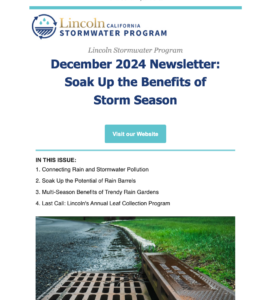 December 2024 Newsletter: Soak Up the Benefits of Storm Season