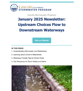 January 2025 Newsletter: Upstream Choices Flow to Downstream Waterways