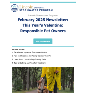 February 2025 Newsletter: This Year’s Valentine: Responsible Pet Owners