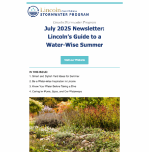 July 2025 Newsletter: Lincoln’s Guide to a Water-Wise Summer