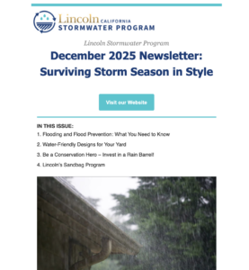 December 2025 Newsletter: Surviving Storm Season in Style