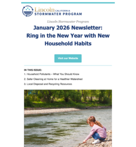 January 2026 Newsletter: Ring in the New Year with New Household Habits