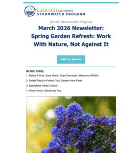 March 2026 Newsletter: Spring Garden Refresh: Work With Nature, Not Against It