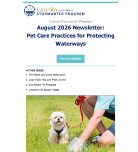 August 2026 Newsletter: Pet Care Practices for Protecting Waterways