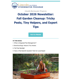 October 2026 Newsletter: Fall Garden Cleanup: Tricky Pests, Tiny Helpers, and Expert Tips